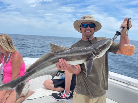 Cobia fishing in St. Augustine, Florida