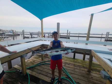 King Mackerel / Kingfish fishing in Orange Beach, Alabama