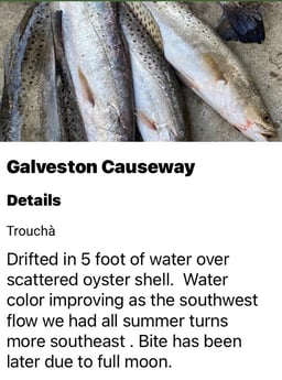 Speckled Trout / Spotted Seatrout fishing in Galveston, Texas