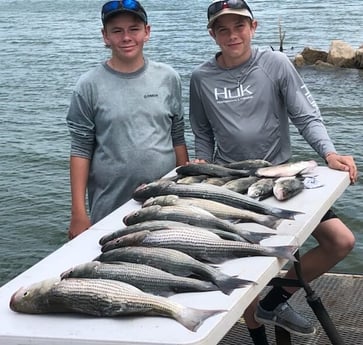 Striped Bass fishing in Burnet, Texas