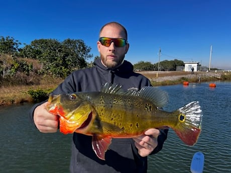 Fishing in Miami, Florida