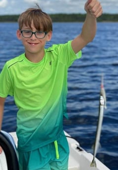 Needlefish fishing in Santa Rosa Beach, Florida