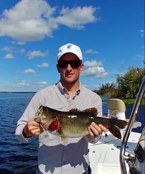 Largemouth Bass Fishing in St. Augustine, Florida