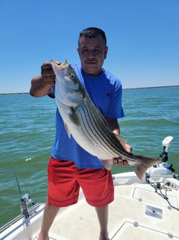 Black Seabass fishing in Whitney, Texas