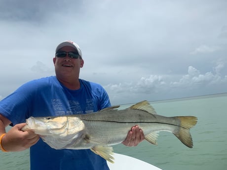 Snook fishing in Key Largo, Florida