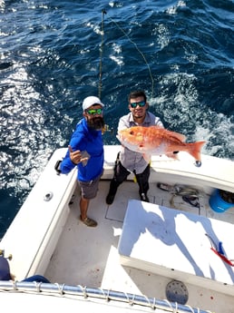 Red Snapper fishing in Port Isabel, Texas