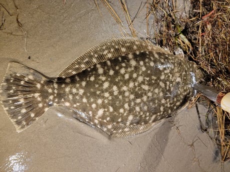 Flounder Fishing in Rio Hondo, Texas