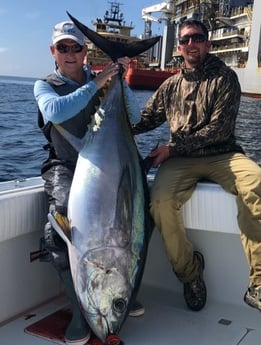 Yellowfin Tuna Fishing in Destin, Florida