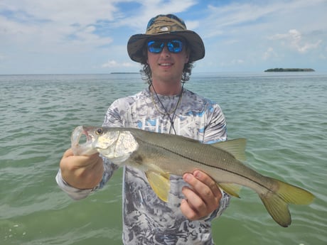 Snook Fishing in Islamorada, Florida