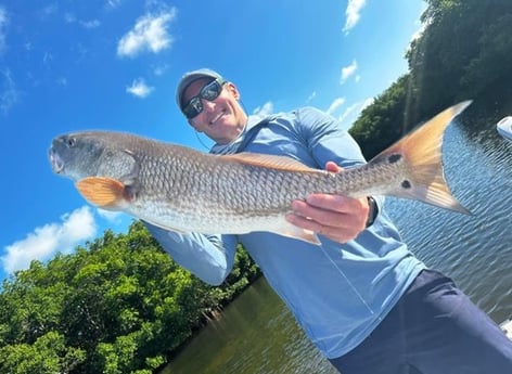 Redfish Fishing in St. Petersburg, Florida