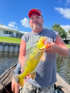 Peacock Bass fishing in Fort Lauderdale, Florida