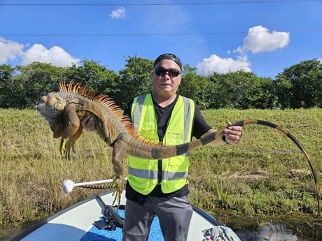Iguana Fishing in Miramar Beach, Florida