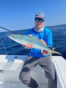 Rainbow Runner Fishing in Jupiter, Florida