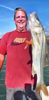 Speckled Trout / Spotted Seatrout fishing in South Padre Island, Texas