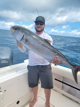 Amberjack Fishing in Clearwater, Florida