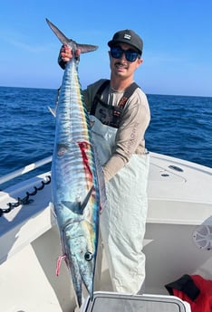 Wahoo Fishing in Jacksonville, Florida