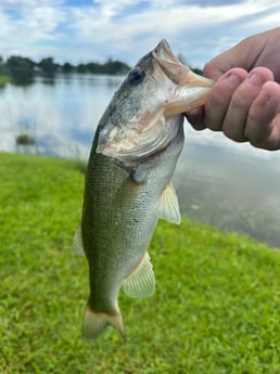 Fishing in Weston, Florida