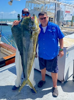 Albacore Tuna, Mahi Mahi / Dorado fishing in Islamorada, Florida