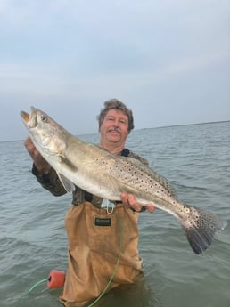 Speckled Trout / Spotted Seatrout fishing in Rockport, Texas