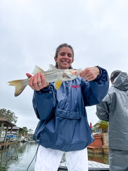 Snook Fishing in New Smyrna Beach, Florida