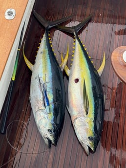 Fishing in Kailua-Kona, Hawaii