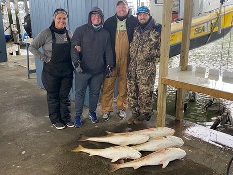 Redfish Fishing in Galveston, Texas