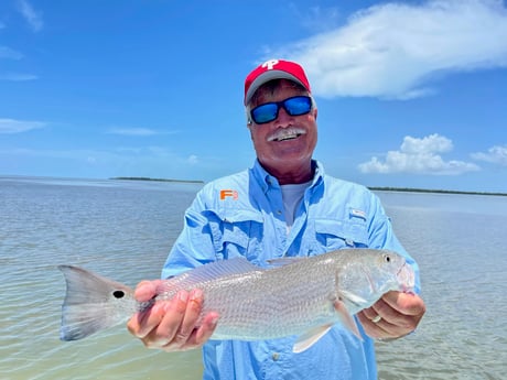 Redfish Fishing in Islamorada, Florida