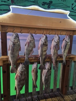 Redfish fishing in Port Isabel, Texas