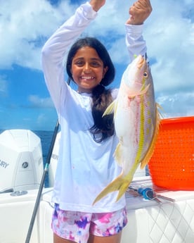 Yellowtail Snapper Fishing in Islamorada, Florida