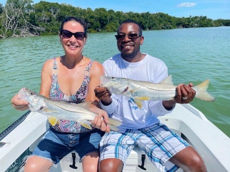 Snook fishing in Tavernier, Florida