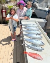 Little Tunny / False Albacore, Red Snapper fishing in Fort Lauderdale, Florida