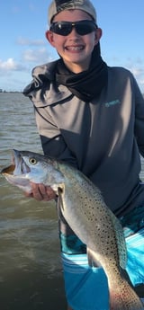 Speckled Trout / Spotted Seatrout fishing in Galveston, Texas