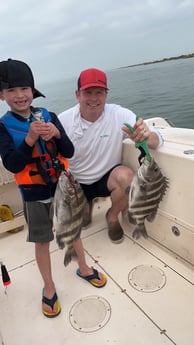 Sheepshead Fishing in Galveston, Texas