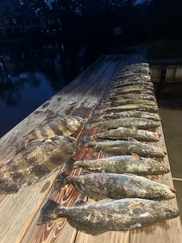 Fishing in New Orleans, Louisiana