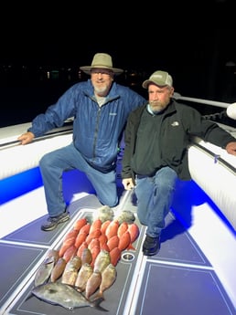 Amberjack, Scup / Porgy, Vermillion Snapper Fishing in Destin, Florida