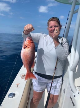 Red Snapper Fishing in Destin, Florida