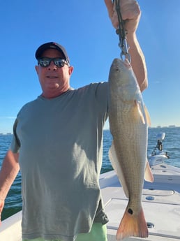 Fishing in Sarasota, Florida