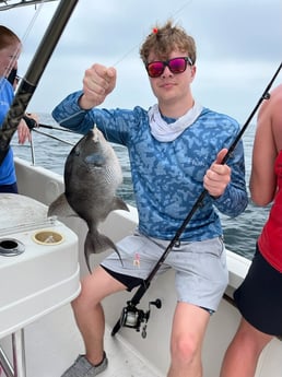 Triggerfish Fishing in Destin, Florida