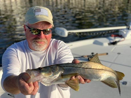 Snook Fishing in Jupiter, Florida