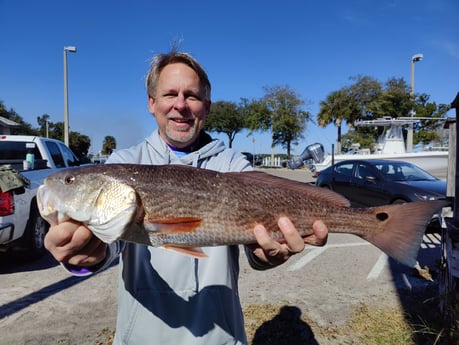 Redfish, Sheepshead, Speckled Trout / Spotted Seatrout fishing in Jacksonville, Florida