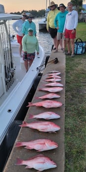 Red Snapper fishing in Panama City, Florida