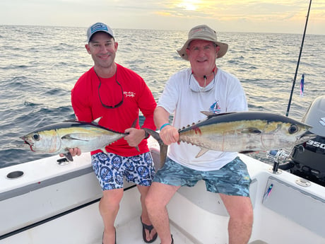 Blackfin Tuna fishing in Key West, Florida