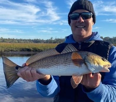 Redfish Fishing in Jacksonville, Florida