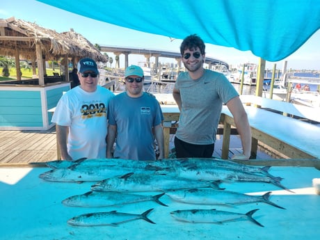 King Mackerel / Kingfish, Spanish Mackerel fishing in Orange Beach, Alabama