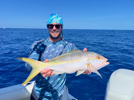 Yellowtail Snapper Fishing in Key West, Florida