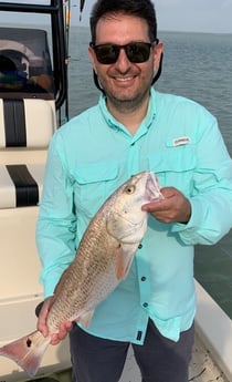 Redfish fishing in South Padre Island, Texas