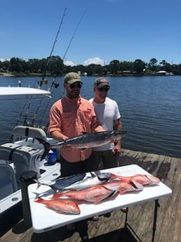 King Mackerel / Kingfish, Little Tunny / False Albacore, Red Snapper fishing in Pensacola, Florida