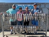 Black Drum, Redfish, Speckled Trout Fishing in Corpus Christi, Texas