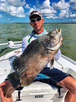 Tripletail fishing in Tavernier, Florida