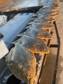 Flounder fishing in Galveston, Texas